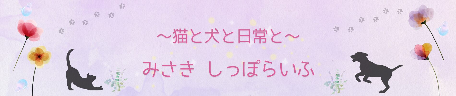 =・ω・=   みさき しっぽらいふ
